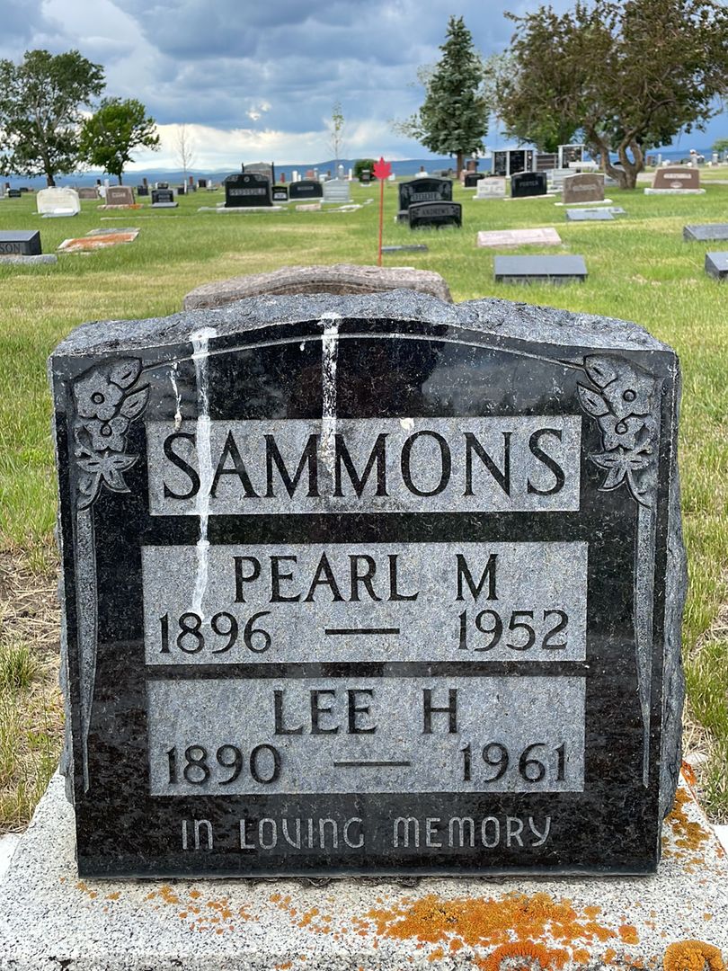 Lee Horace Sammons's grave. Photo 1