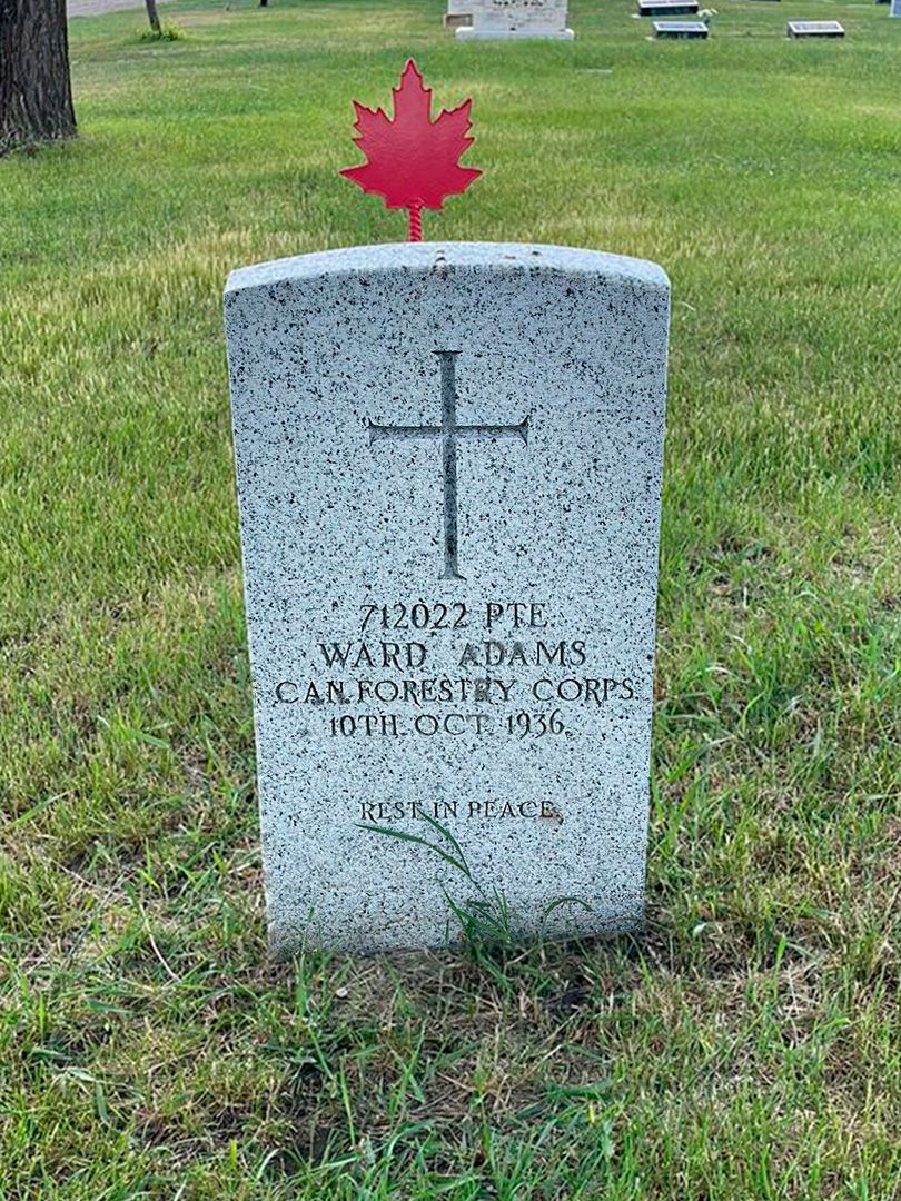 Ward Adams's grave. Photo 1