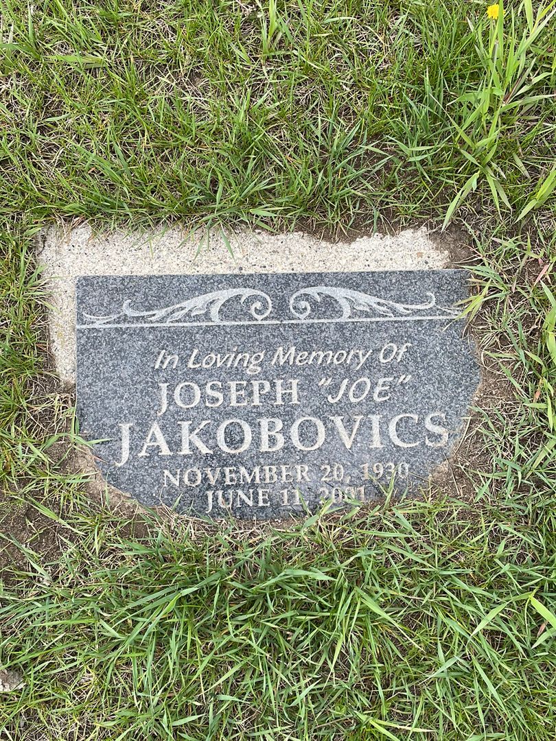 Joseph "Joe" Jacobovics's grave. Photo 1