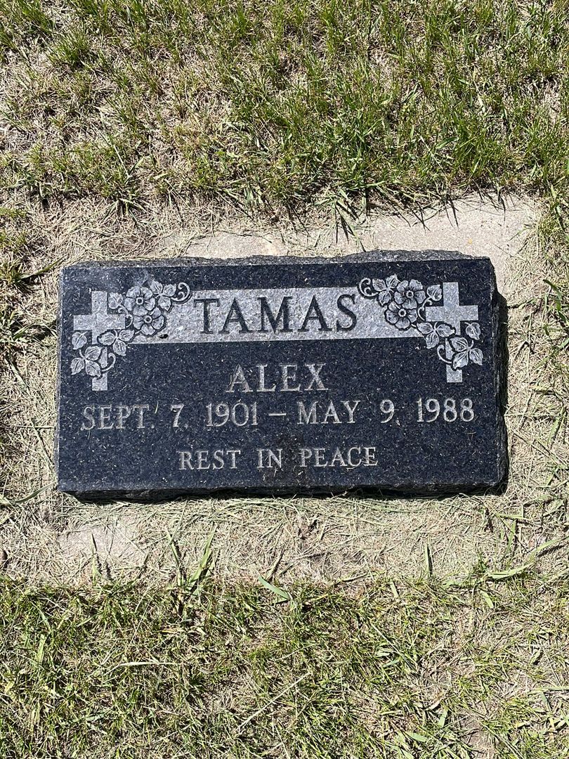 Alex Tamas's grave. Photo 1