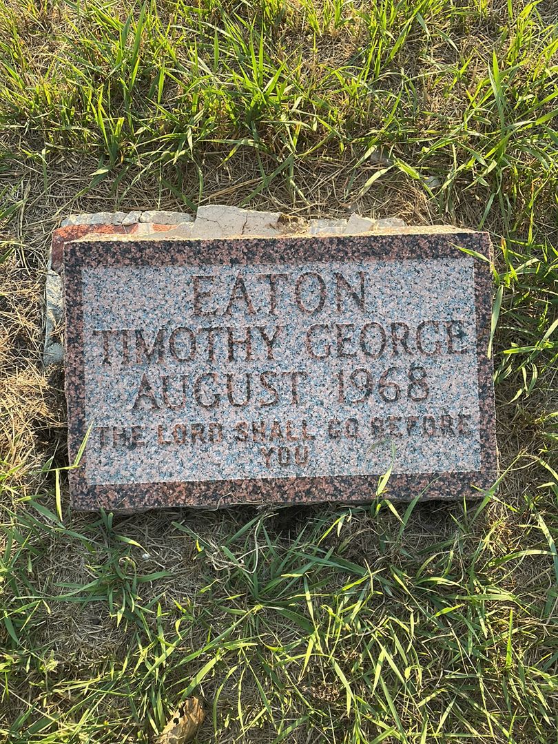 Baby Timothy George Eaton's grave. Photo 1