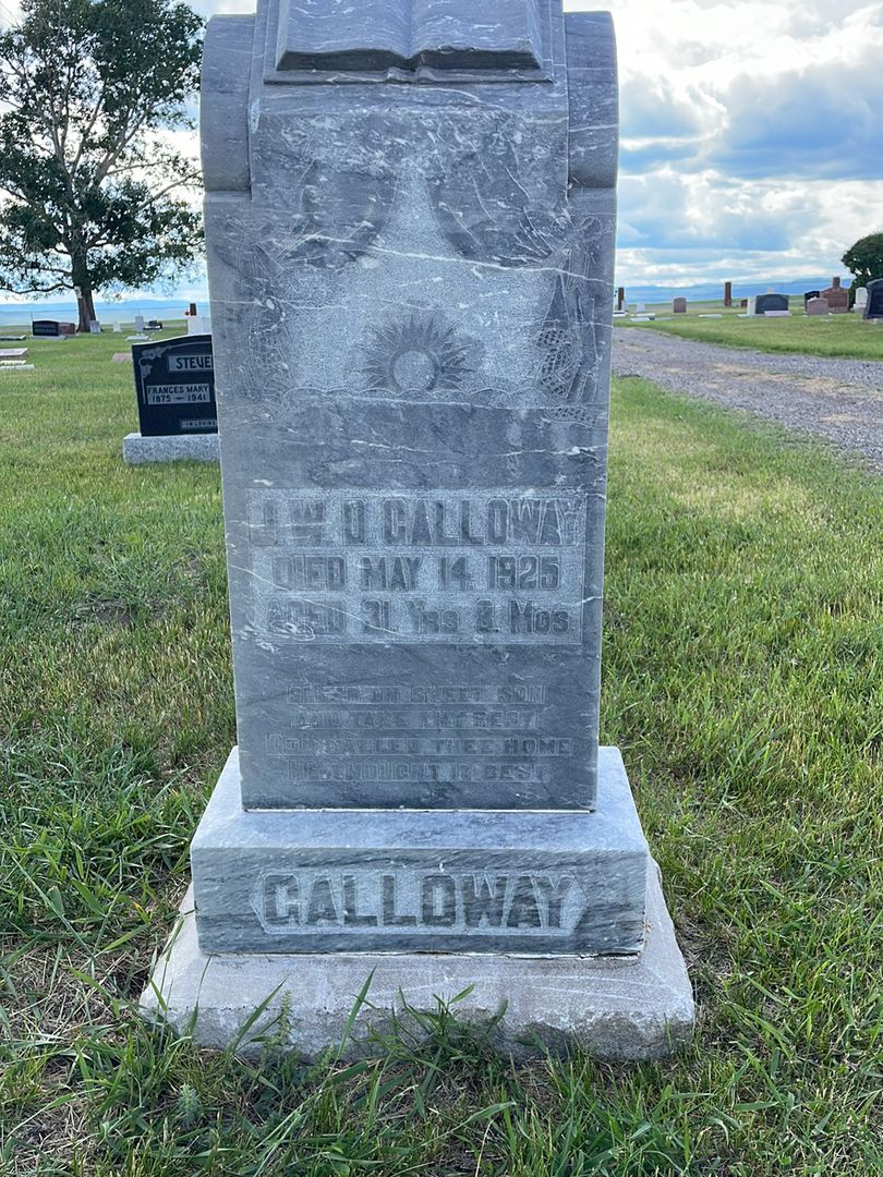 James William D. Galloway's grave. Photo 1