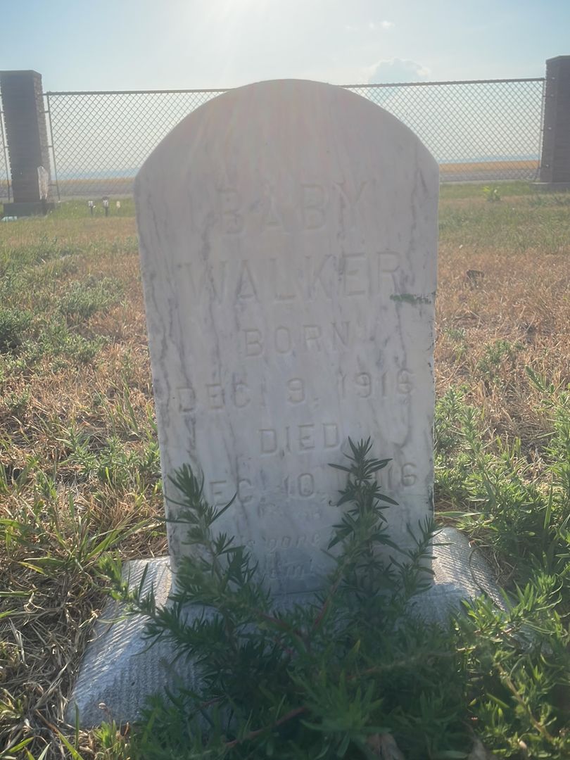 Baby Girl Walker's grave. Photo 1