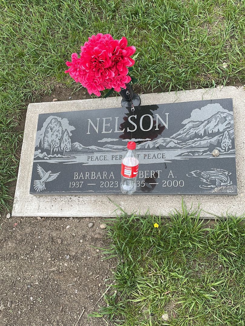 Bert Allen Nelson's grave. Photo 1