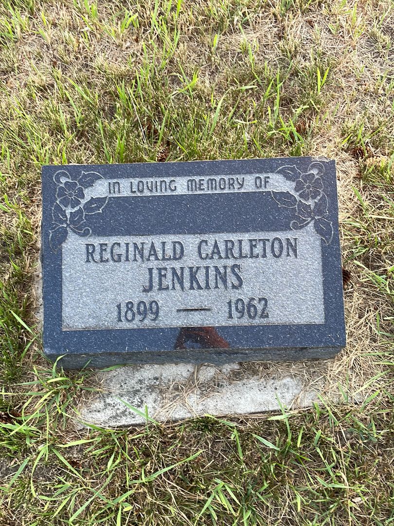 Reginald Carleton Jenkins's grave. Photo 1